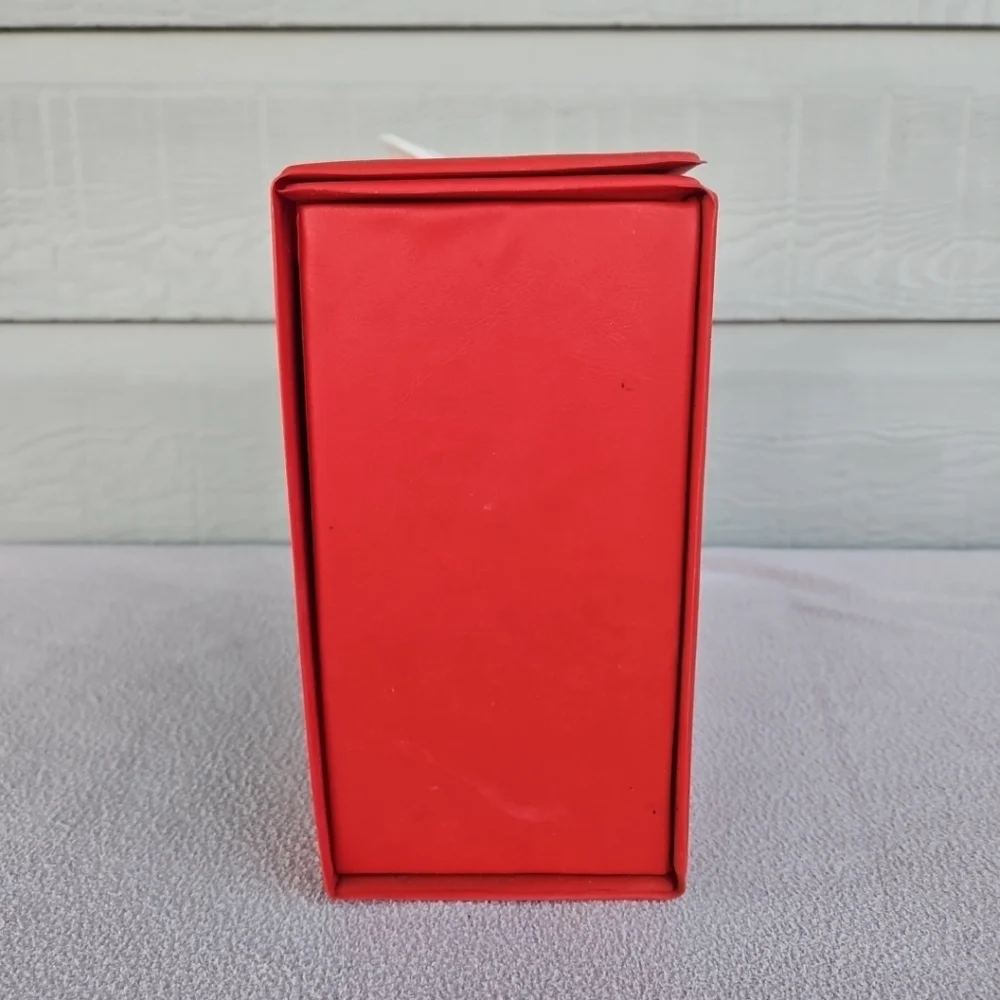 1986 The Saurus Gang Vinyl Storage Case Box Vintage Cliff Galbraith Swim Club